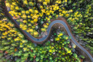 Car Driving Along Mountain Road Surrounded By Colorful Autumn Trees In Tennessee. Scenic Road Trip Through The Appalachians In Fall Season