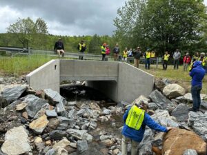 Culvert under road - CLLC/Kylie Paul